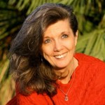 sol-ahimsa-7-700x400