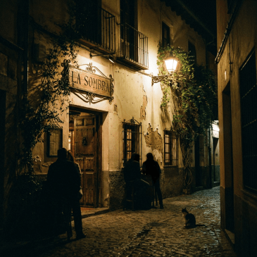 Exterior of LA SOMBRA tavern at night on a cobblestone street with a cat.